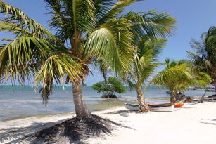 Plage sur l'le Caye Caulker - Belize