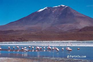 Laguna Hedionda