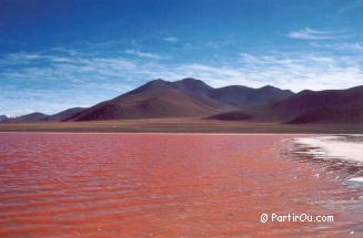 L'Altiplano bolivien - Bolivie