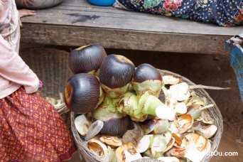 Fruit du Palmier de Palmyre