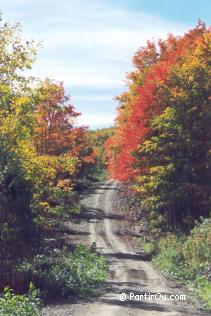 Couleurs d'automne du Qubec