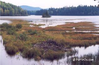 Parc national du Mont-Tremblant