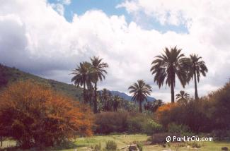 Parc national La Campana