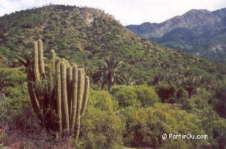 Nord et dans les Andes chiliennes