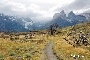 Cuernos del Paine - Torres del Paine - Chili