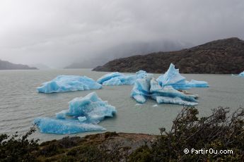 Mirador Lago Grey - Parc national Torres del Paine - Chili