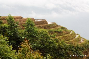 Rizires autour de Ping'an - Chine