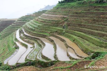 Rizires autour de Ping'an - Chine