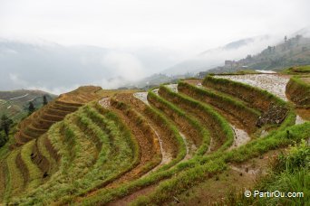 Le Nord de la province du Guangxi - Chine