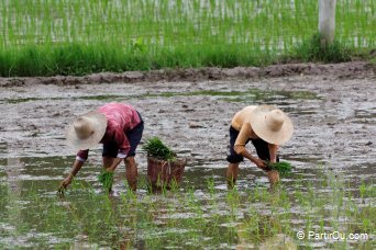 Le Nord de la province du Guangxi - Chine