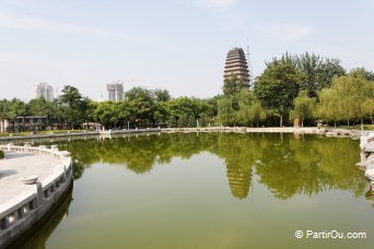 Xiaoyan Ta - Xi'an - Chine