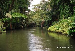 Parc national Tortuguero