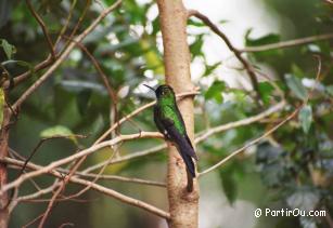 Costa Rica