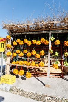 Vente de mandarines dans le delta de la Neretva - Croatie