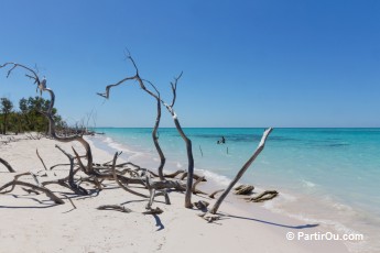 Cayo Jutas - Cuba