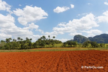 Valle de la Guasasa - Viales - Cuba