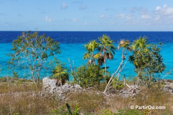 La cte de la Baie des Cochons - Cuba