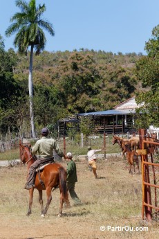 Cuba