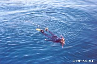 Snorkeling en Mer Rouge
