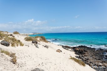 Fuerteventura - Canaries