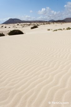 Sable blanc d'El Jable - Fuerteventura - Canaries