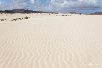 Fuerteventura - Canaries