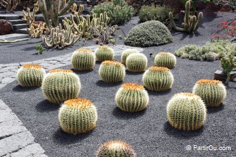 Jardin de Cactus - Lanzarote
