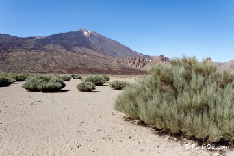 Parc national du Teide  Tenerife - Canaries