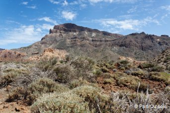 Parc national du Teide - Tenerife - Canaries