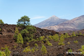 Parc national du Teide vue depuis Mirador de Chio - Tenerife - Canaries