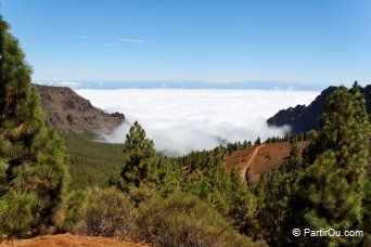 Tenerife - Canaries