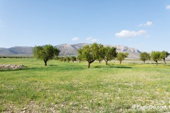 Andalousie - Espagne