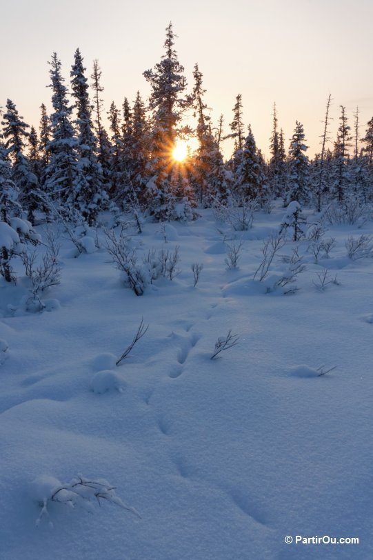 La Laponie Finlandaise En Hiver Partiroucom