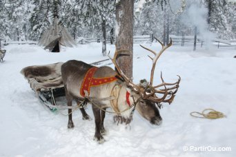 La Laponie finlandaise en hiver - Finlande