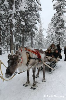 Traneau  renne - Finlande