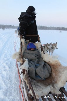 Traneau  chiens - Finlande