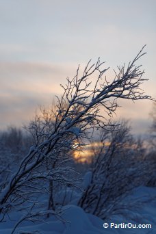 Laponie finlandaise