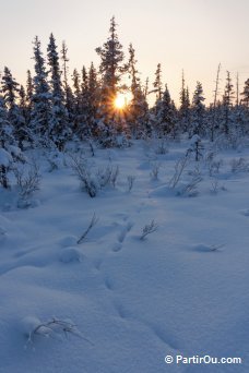 Laponie finlandaise