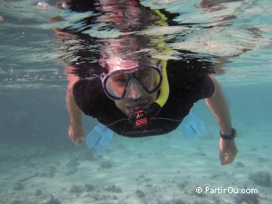 Snorkeling à Raiatea - Polynésie française