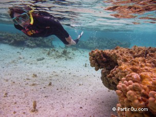 Snorkeling à Maupiti - Polynésie française