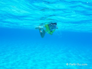 Snorkeling à Bora-Bora - Polynésie française
