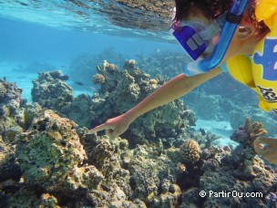 Snorkeling dans le lagon de Bora-Bora