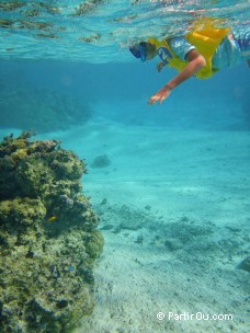 Snorkeling à Bora-Bora - Polynésie française