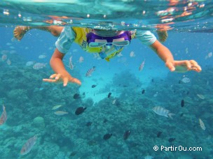 Snorkeling dans le lagon de Bora-Bora