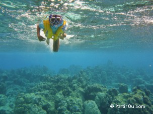 Snorkeling à Bora-Bora - Polynésie française