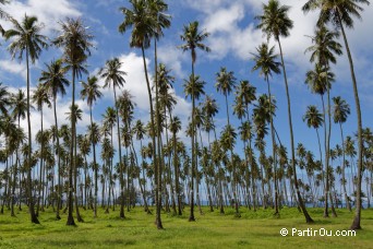 Tahiti - Polynsie franaise