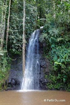 Jardins d'Eau de Vaipahi - Tahiti