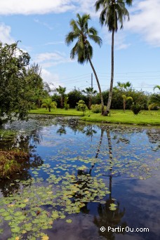 Jardins d'Eau de Vaipahi - Tahiti