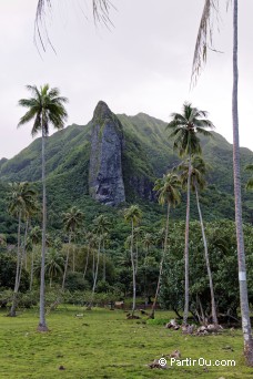 Pain de sucre de Fareatai - Raiatea