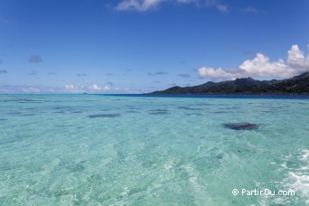 Motu Iriru - Raiatea